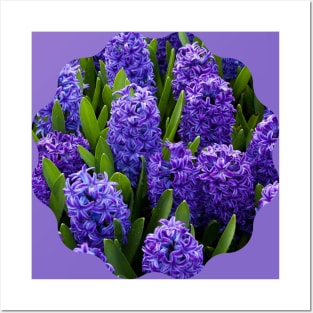 Purple Hyacinth Flower Clusters Posters and Art